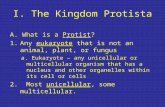 I. The Kingdom Protista A. What is a Protist? 1.Any eukaryote that is not an animal, plant, or fungus a. Eukaryote – any unicellular or multicellular organism.