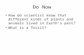 Do Now How do scientist know that different kinds of plants and animals lived in Earth’s past? What is a fossil?