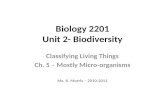 Biology 2201 Unit 2- Biodiversity Classifying Living Things Ch. 5 – Mostly Micro-organisms Ms. K. Morris – 2010-2011.