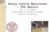 Dairy Cattle Nutrition – The Basics Dr. L. E. Chase Department of Animal Science Cornell University.