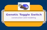 Genetic Toggle Switch construction and modeling. Toggle switch design.