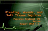 Bleeding, Wounds, and Soft Tissue Injuries Presence Regional EMS System August 2014 C.E.