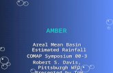 1 AMBER Areal Mean Basin Estimated Rainfall COMAP Symposium 00-3 Robert S. Davis, Pittsburgh WFO Presented by Tom Filiaggi.