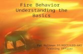 Fire Behavior Understanding the Basics Pat Hultman FF/MICT/LEO-AAS Training Officer.