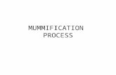 MUMMIFICATION PROCESS. FACTS Mummification was reserved for the richest and most powerful in Egyptian society. The process was long and expensive. There.