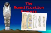 The Mummification Process Steps 1. Announcement of Death 2. Embalming the Body 3. Removal of Brain 4. Removal of Internal Organs 5. Drying Out Process.