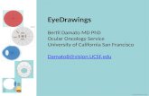 EyeDrawings Bertil Damato MD PhD Ocular Oncology Service University of California San Francisco DamatoB@vision.UCSF.edu ©Bertil Damato, 2014.