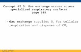 Concept 42.5: Gas exchange occurs across specialized respiratory surfaces page 915 Gas exchange supplies O 2 for cellular respiration and disposes of CO.