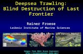 Images from NOAA Ocean Explorer:  please do not use images from this presentation without permission of source Deepsea Trawling: