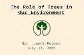 The Role of Trees in Our Environment By: Jenni Reaves July 31, 2001.