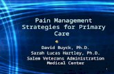 1 Pain Management Strategies for Primary Care David Buyck, Ph.D. Sarah Lucas Hartley, Ph.D. Salem Veterans Administration Medical Center.