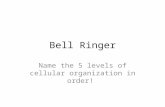 Bell Ringer Name the 5 levels of cellular organization in order!