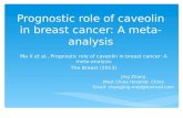 Prognostic role of caveolin in breast cancer: A meta-analysis Ma X et al., Prognostic role of caveolin in breast cancer: A meta-analysis The Breast (2013)