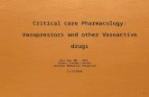 Critical care Pharmacology: Vasopressors and other Vasoactive drugs Nir Hus MD., PhD. Ryder Trauma Center Jackson Memorial Hospital 11/3/2010 1.