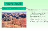 Today’s Lecture:  Sedimentary structures: Inferring depositional processes from sedimentary rocks Sea-level changes & the facies concept Chapter 7: Sedimentary.