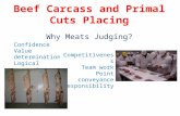 Beef Carcass and Primal Cuts Placing Confidence Value determination Logical reasoning Personal drive Competitiveness Team work Point conveyance Responsibility.