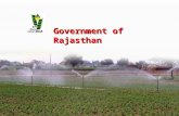 Government of Rajasthan. Reward Scheme for Recognizing Efforts of The Best Performing States in Food grain, Coarse Cereals, Rice, Pulses and Wheat Production.