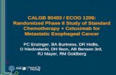 CALGB 80403 / ECOG 1206: Randomized Phase II Study of Standard Chemotherapy + Cetuximab for Metastatic Esophageal Cancer PC Enzinger, BA Burtness, DR Hollis,