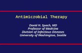 Antimicrobial Therapy David H. Spach, MD Professor of Medicine Division of Infectious Diseases University of Washington, Seattle.
