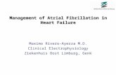 Management of Atrial Fibrillation in Heart Failure Maximo Rivero-Ayerza M.D. Clinical Electrophysiology Ziekenhuis Oost Limburg, Genk.