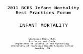 2011 BCBS Infant Mortality Best Practices Forum Giancarlo Mari, M.D. Professor and Chair Department of Obstetrics and Gynecology University of Tennessee.
