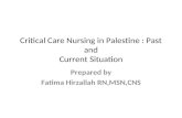 Critical Care Nursing in Palestine : Past and Current Situation Prepared by Fatima Hirzallah RN,MSN,CNS.