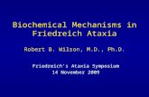 Biochemical Mechanisms in Friedreich Ataxia Robert B. Wilson, M.D., Ph.D. Friedreich’s Ataxia Symposium 14 November 2009.