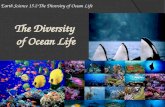Earth Science 15.2 The Diversity of Ocean Life.  A wide variety of organisms inhabit the marine environment.  These organisms range in size from microscopic.