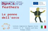Ogre’s feathers Le penne dell’orco European Comenius Project “YOUR CULTURE AND TRADITIONS HELP ME TO APPRECIATE MINE” Istituto Comprensivo Rignano Incisa.