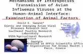 Mechanisms of Interspecies Transmission of Avian Influenza Viruses at the Human-Animal Interface: Examination of Animal Factors David E. Swayne* Exotic.