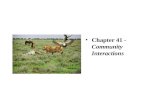 Chapter 41 - Community Interactions. Interactions Interspecific (interactions between populations of different species within a community): Predation.