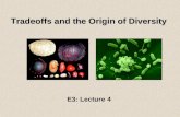 Tradeoffs and the Origin of Diversity E3: Lecture 4.