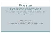 Energy Transformations An intro to energy conversions in living things Molecular Biology Sumner High School Created by Mr. Woodbury, Modified by K. Slater.