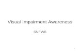 1 Visual Impairment Awareness SNFWB. 2 Programme 1.Introduction and Quiz 2.Anatomy of the eye: Common eye conditions that challenge functional vision.