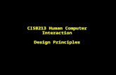 CISB213 Human Computer Interaction Design Principles 1.