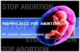PROPHYLAXIS FOR ABORTION BY, Rachel Sushmita Daniel 514 A.