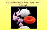 Cardiovascular System: Blood. General Properties of Blood Volume in adult body Female = 4 -5 liters Male = 5 – 6 liters pH = 7.35 to 7.45 Temp = 38 o.