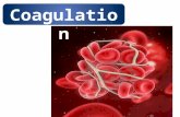 Haemostasis part2 ROLE OF ENDOTHILIUM Hemostasis: BV Injury Platelet Activation Plt-Fusion Blood Vessel Constriction Coagulation Activation Stable.
