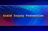Scald Injury Prevention. Scald Safety Scald Prevention Developed by: American Burn Association Burn Prevention Committee Developed by: American Burn Association.