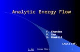 P. Gay Energy flow session1 Analytic Energy Flow F. Chandez P. Gay S. Monteil CALICE Coll.