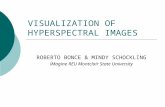 VISUALIZATION OF HYPERSPECTRAL IMAGES ROBERTO BONCE & MINDY SCHOCKLING iMagine REU Montclair State University.