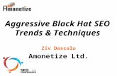 Aggressive Black Hat SEO Trends & Techniques Ziv Dascalu Amonetize Ltd.