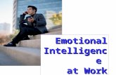 Emotional Intelligence at Work. Emotional Intelligence Framework The Intrapersonal Realm The Interpersonal Realm The Adaptability Realm The Stress Management.
