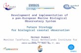 Development and implementation of a pan-European Marine Biological Observatory System Future Strategy for biological coastal observation Herman Hummel.
