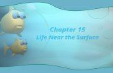 Chapter 15 Life Near the Surface. Vast open sea – pelagic realm Contains almost all of the liquid water on earth Vast open sea – pelagic realm Contains.