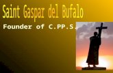 Founder of C.PP.S.. Brief History Born January 6, 1786 Ordained July 31, 1808 Founded C.PP.S. on August 15, 1815 Died December 28, 1837 Canonized June.