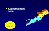 L Consolidations WEEK 1 TEXT CHAP 13 & 14 AASB 1024 TEXT CHAP 13 & 14 AASB 1024.