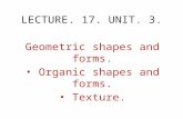 LECTURE. 17. UNIT. 3. Geometric shapes and forms. Organic shapes and forms. Texture.