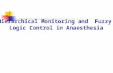 Hierarchical Monitoring and Fuzzy Logic Control in Anaesthesia.