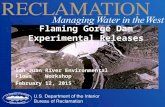 San Juan River Environmental Flows Workshop February 12, 2015 Flaming Gorge Dam Experimental Releases.